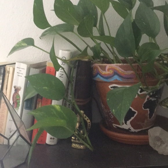 Meet your Posher, Lindsay - Picture 1 of 1